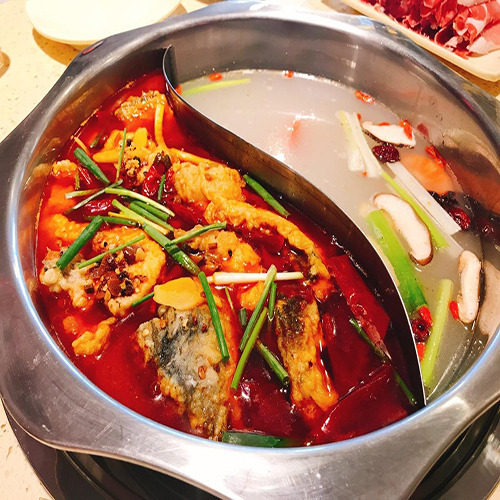成都火鍋魚(yú)培訓(xùn)(圖2)